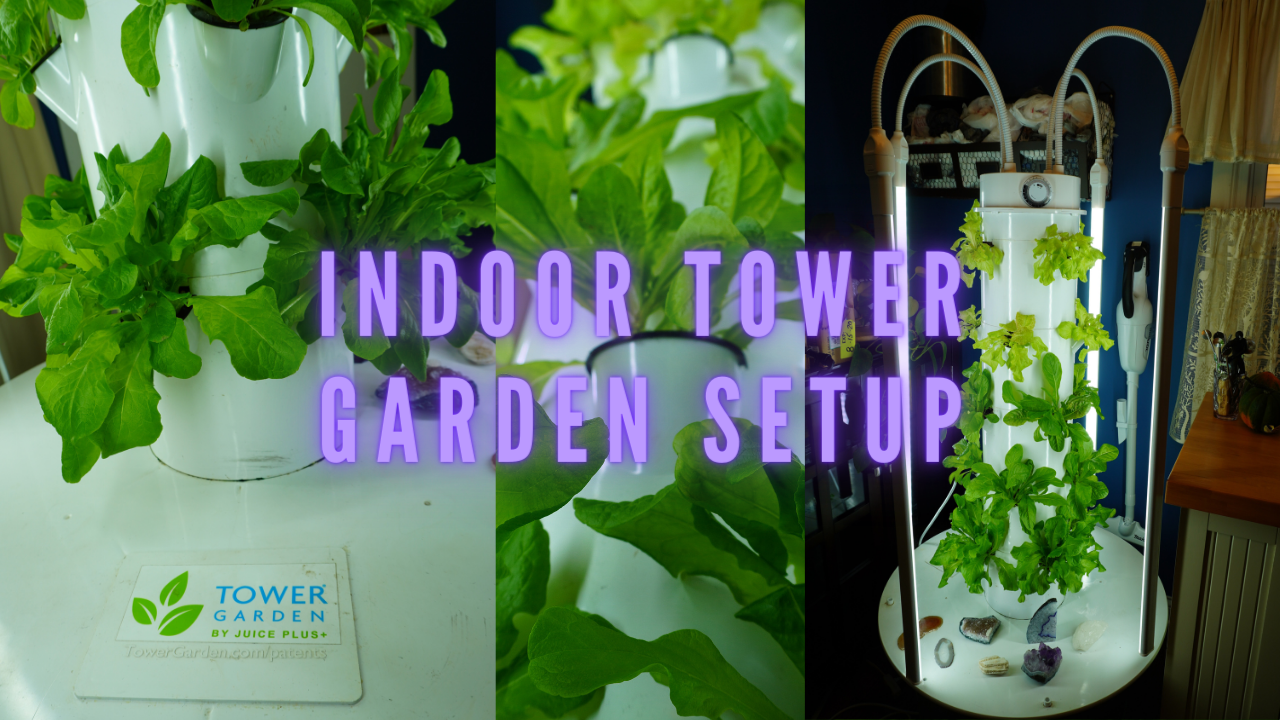 indoor tower garden set up